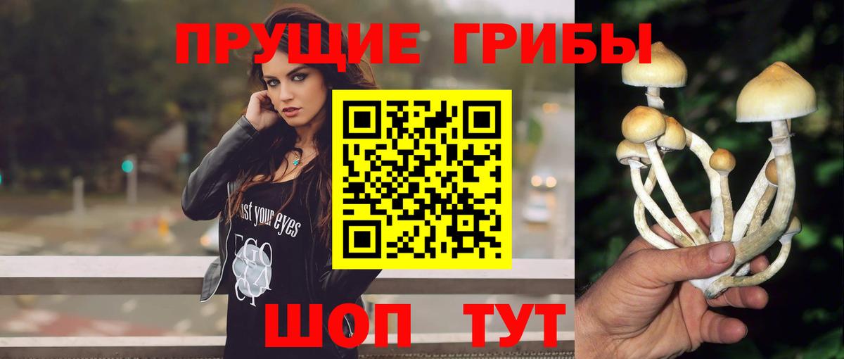 Галлюциногенные грибы мухоморы  Вход с VPN  Сосновый Бор  Псилоцибиновые грибы Cubensis 