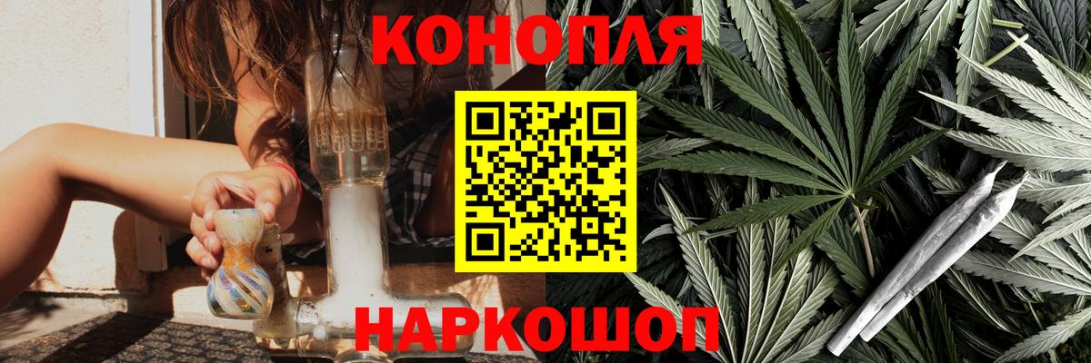 Шишки марихуана марихуана Сосновый Бор